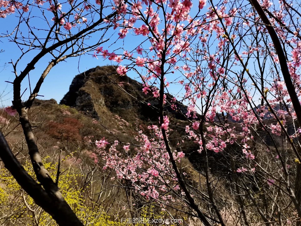 mmexport1681011986630