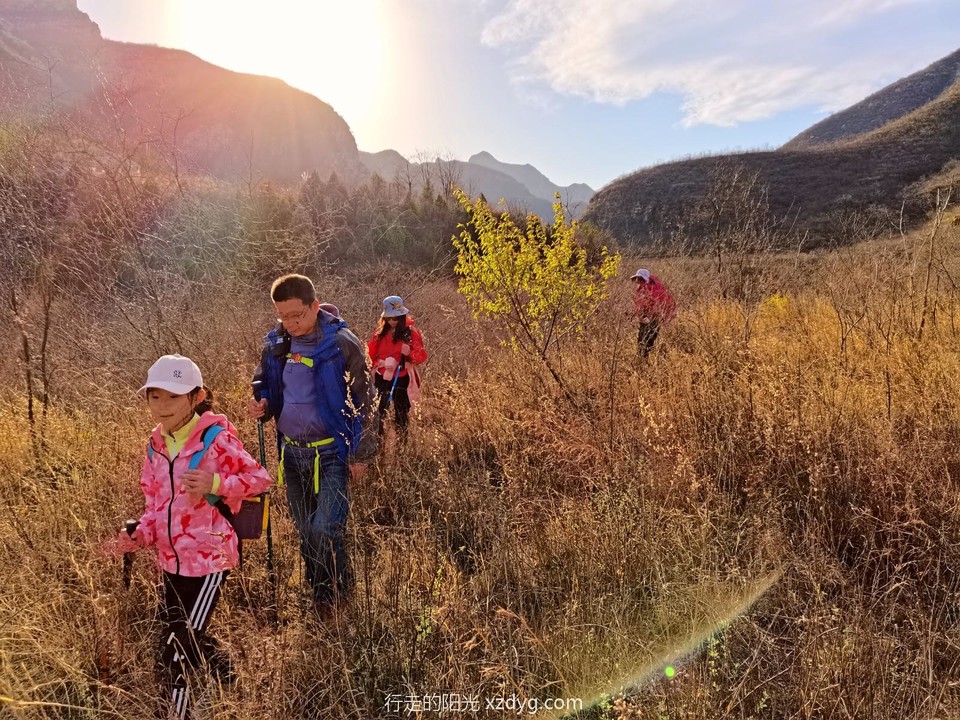 mmexport1681011931042