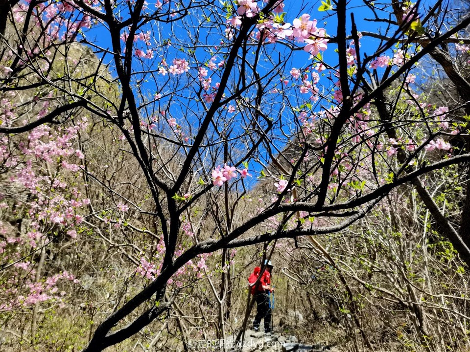 mmexport1681012015269