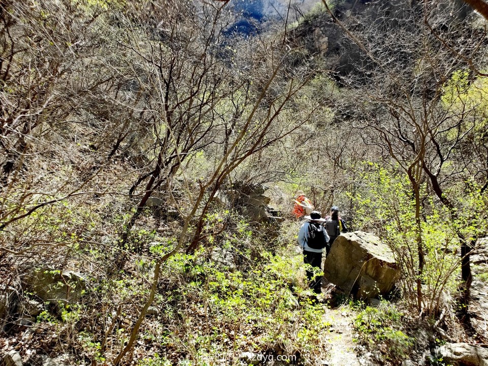 mmexport1681012404124_edit_1576765038897423