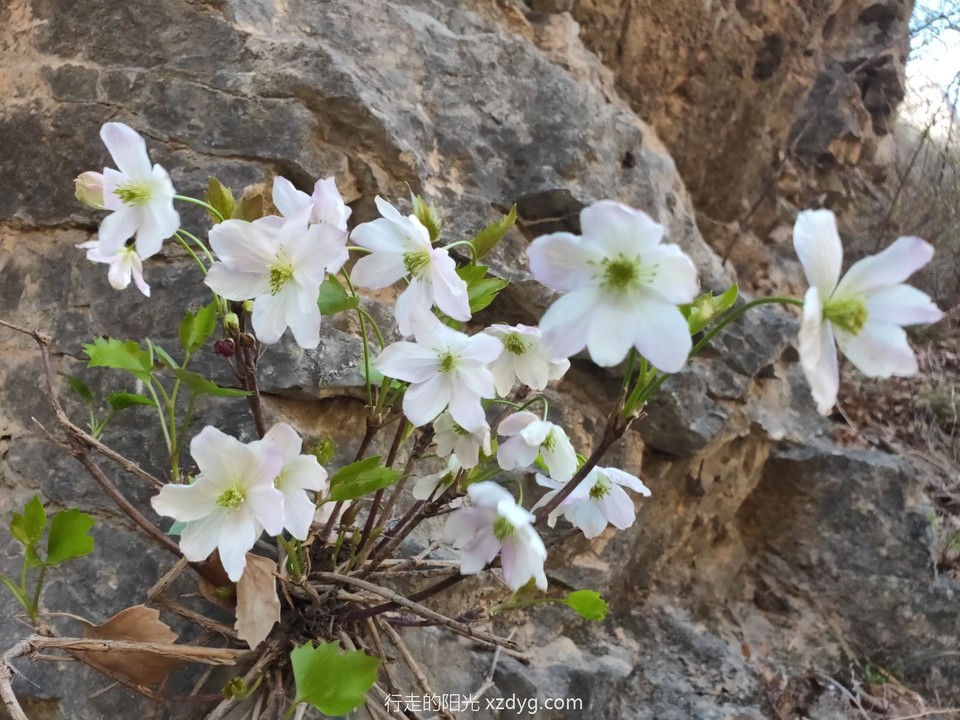 mmexport1681012443089