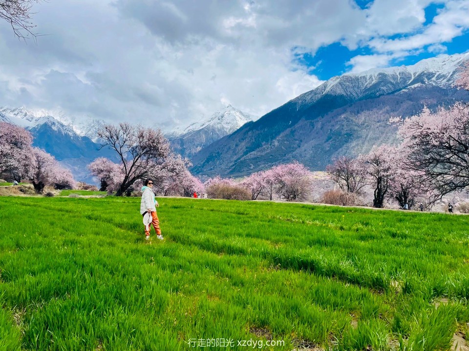 mmexport1681183264229