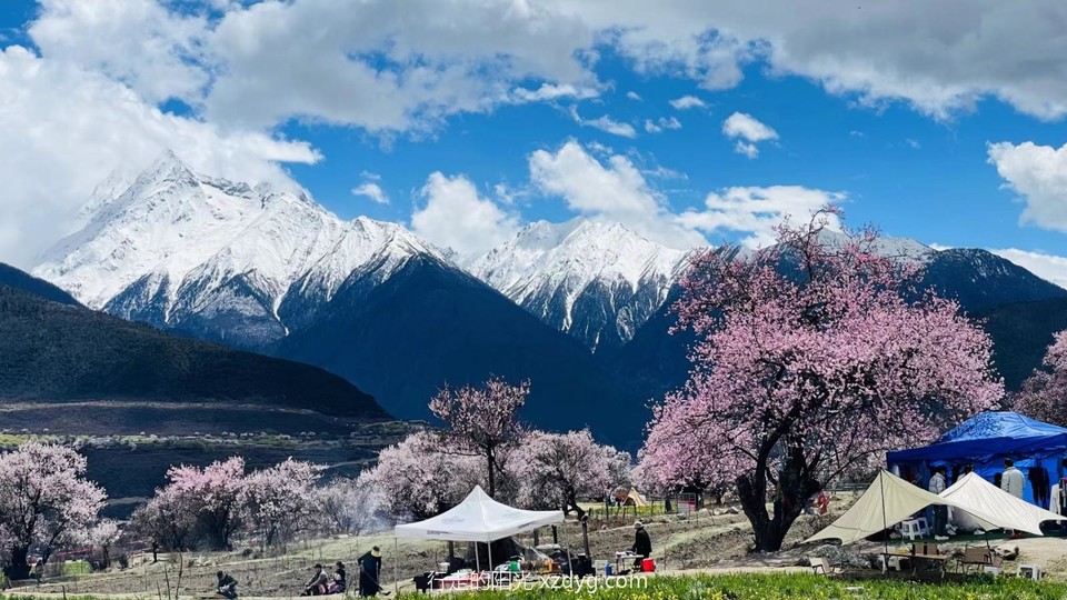 mmexport1681181755336