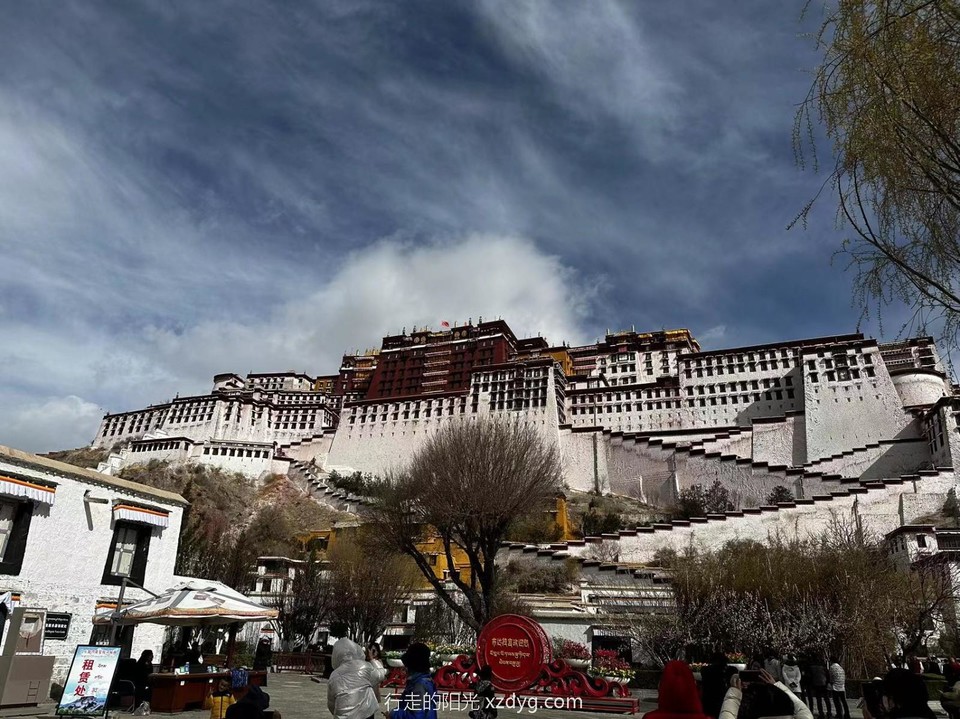 mmexport1681181617243