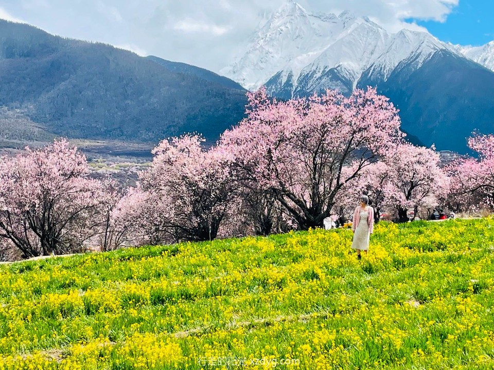 mmexport1681181482357