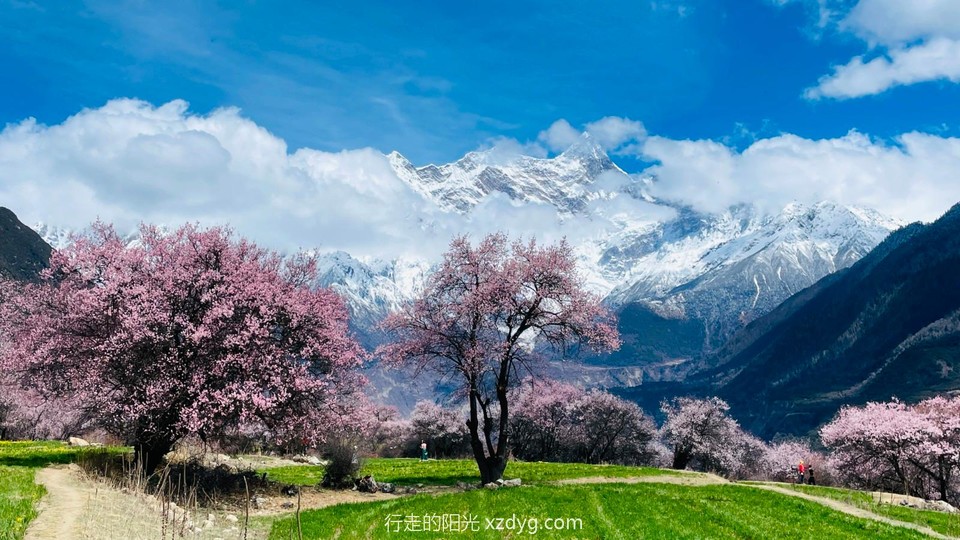 mmexport1681181459509