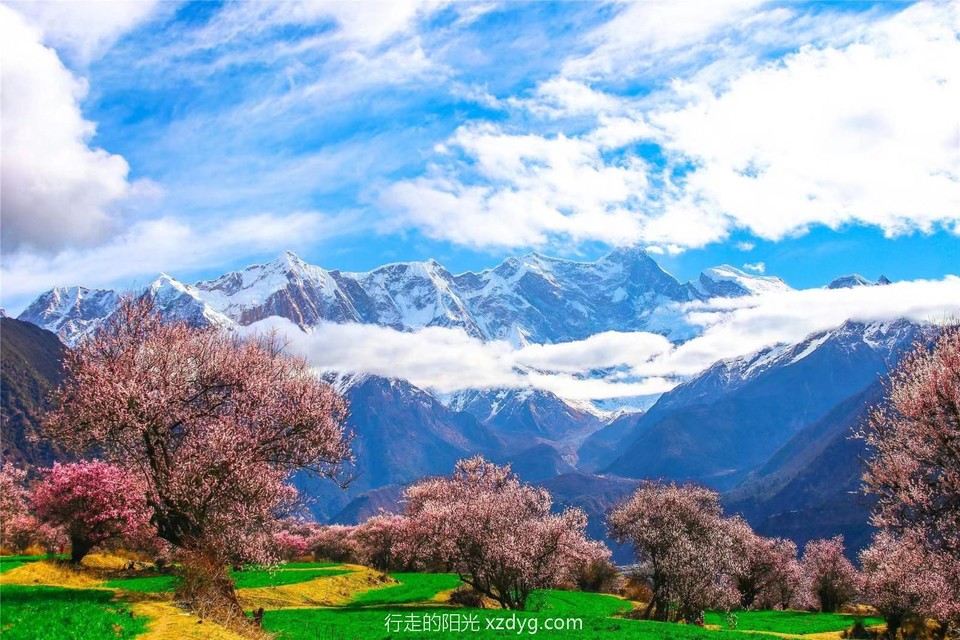 mmexport1681262884964