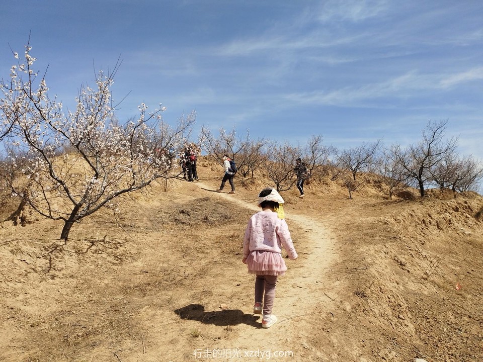 mmexport1681641604775