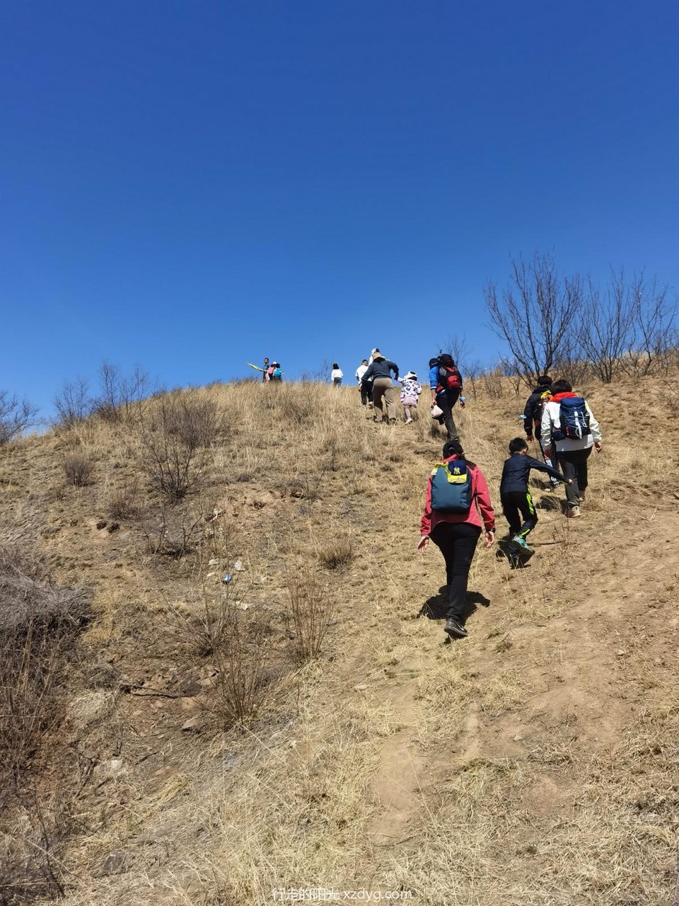 IMG_20230416_114122_edit_307680526634820