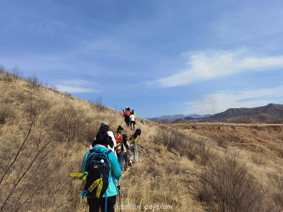 IMG_20230416_130103_edit_307598480765562