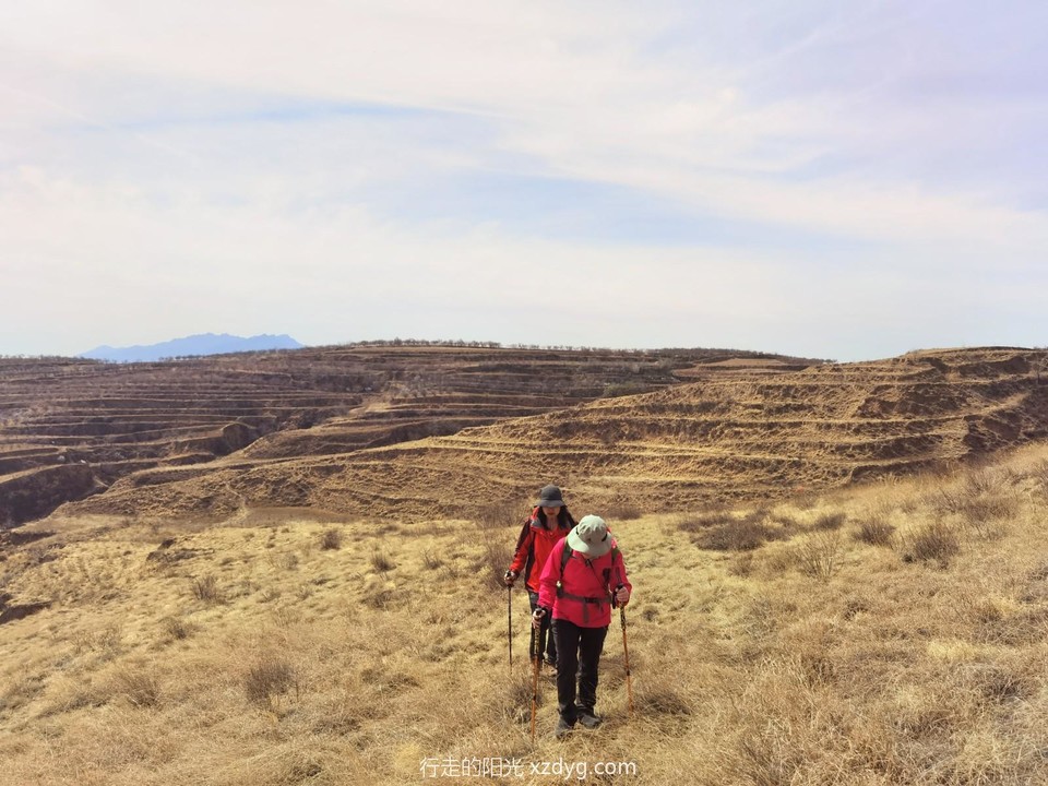 IMG_20230416_130107_edit_307589067278064