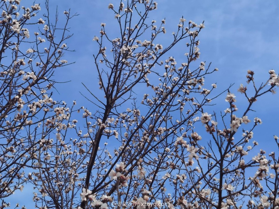 IMG_20230416_134421_edit_307420340782256