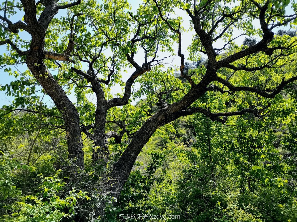 mmexport1683522893208