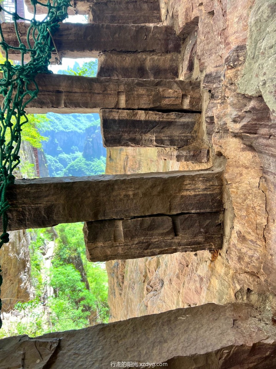 mmexport1682952010645_edit_353732494204357