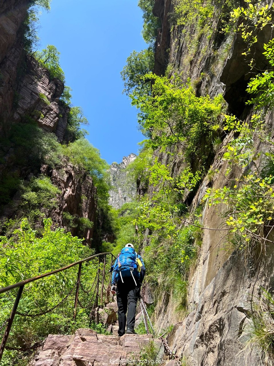 mmexport1682951848395_edit_353800252034034