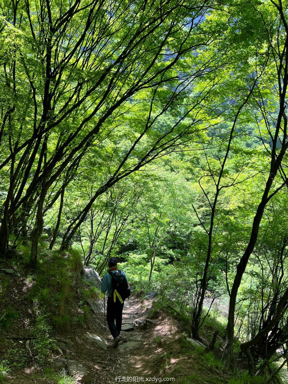 mmexport1682951818715_edit_353808404587158