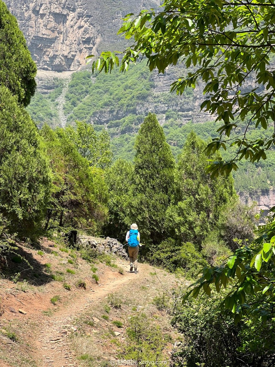 mmexport1682951802856_edit_353816013199657