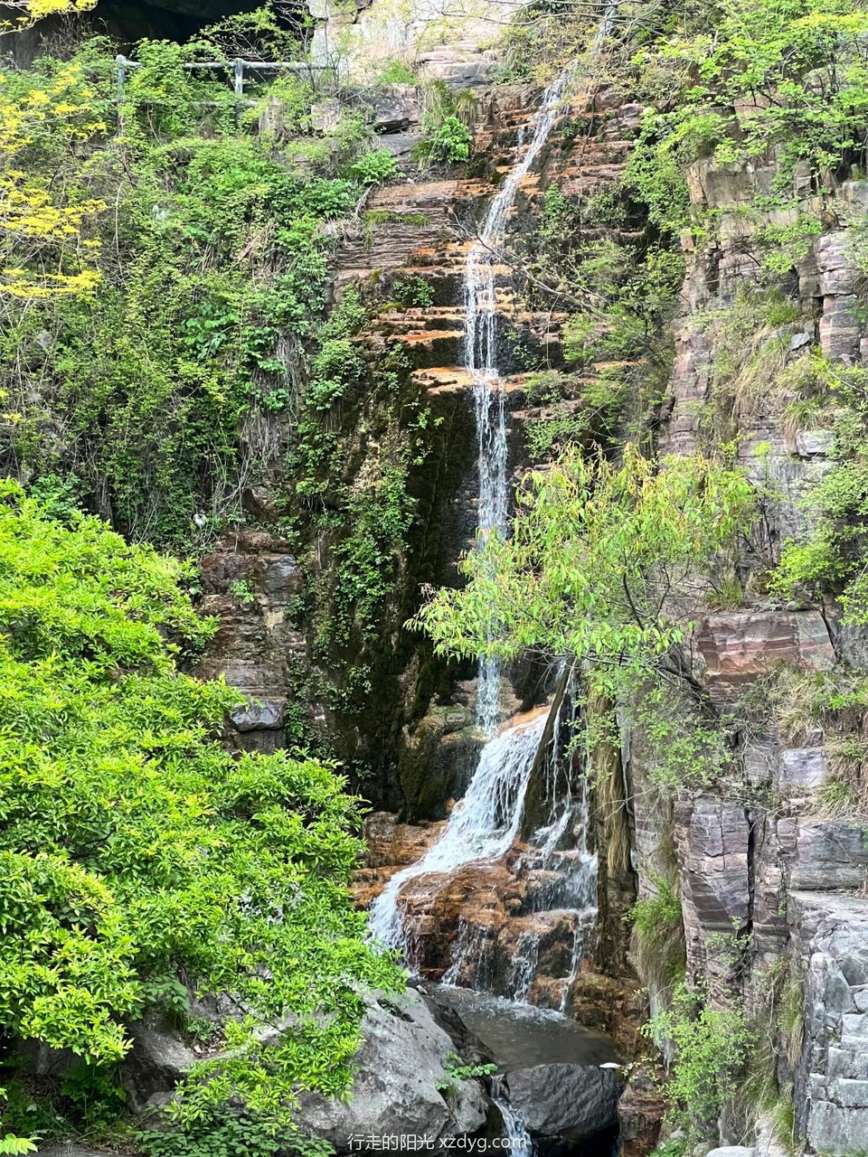 mmexport1682951684486_edit_353837575674653