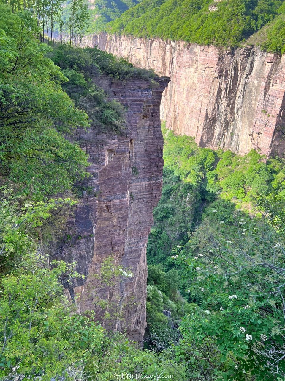 mmexport1682951622511_edit_353851200361110