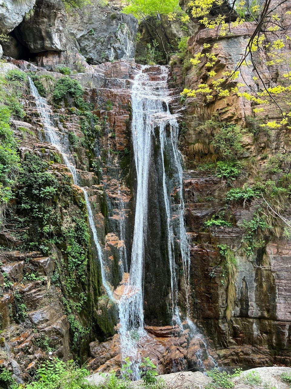 mmexport1682951595850_edit_353857821606421