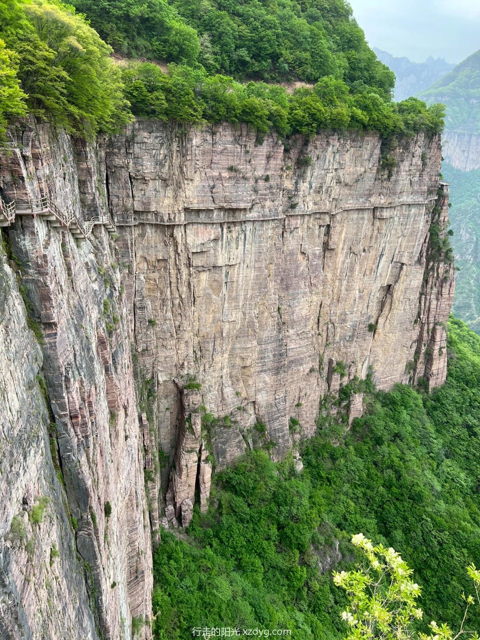 mmexport1682951564503_edit_353864368767878