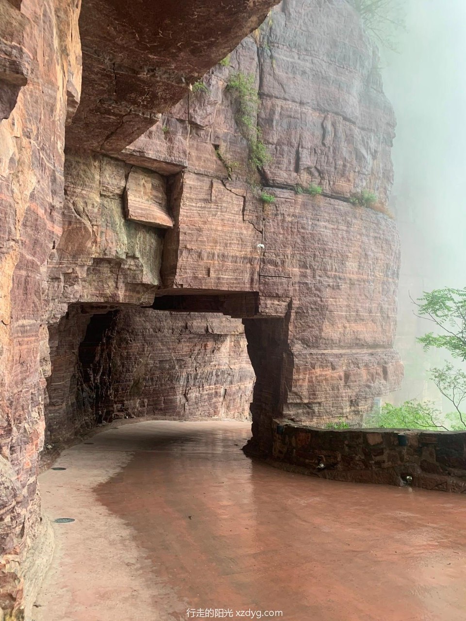 mmexport1683183097810