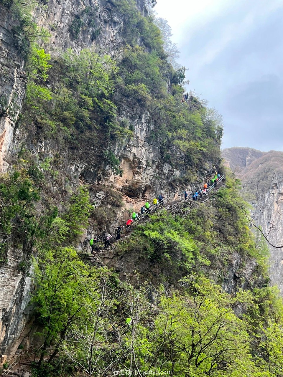 mmexport1683076296075