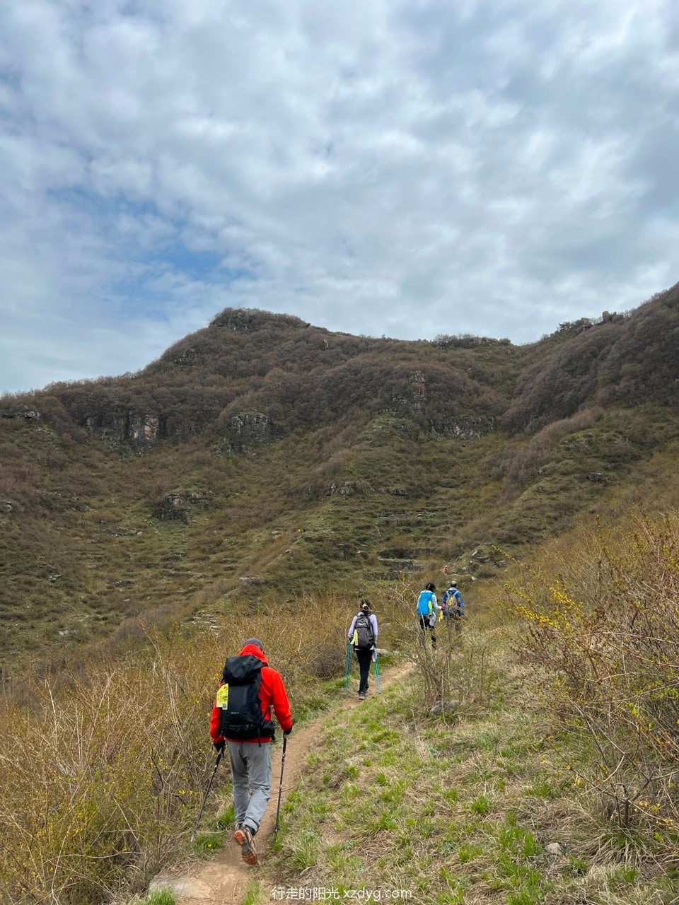 mmexport1683076242908