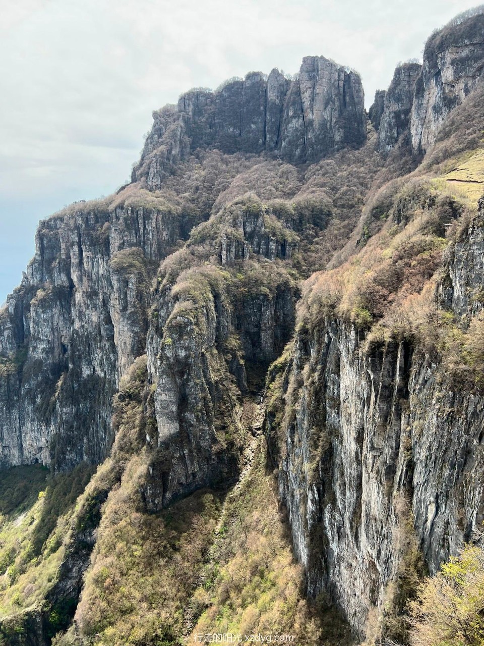 mmexport1683076207044