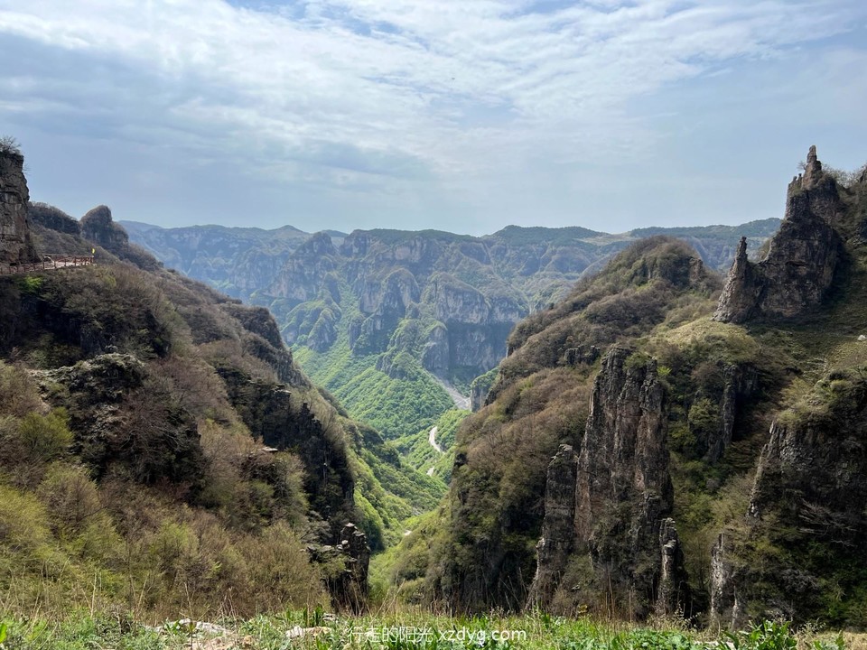 mmexport1683031248789_edit_429938179101062