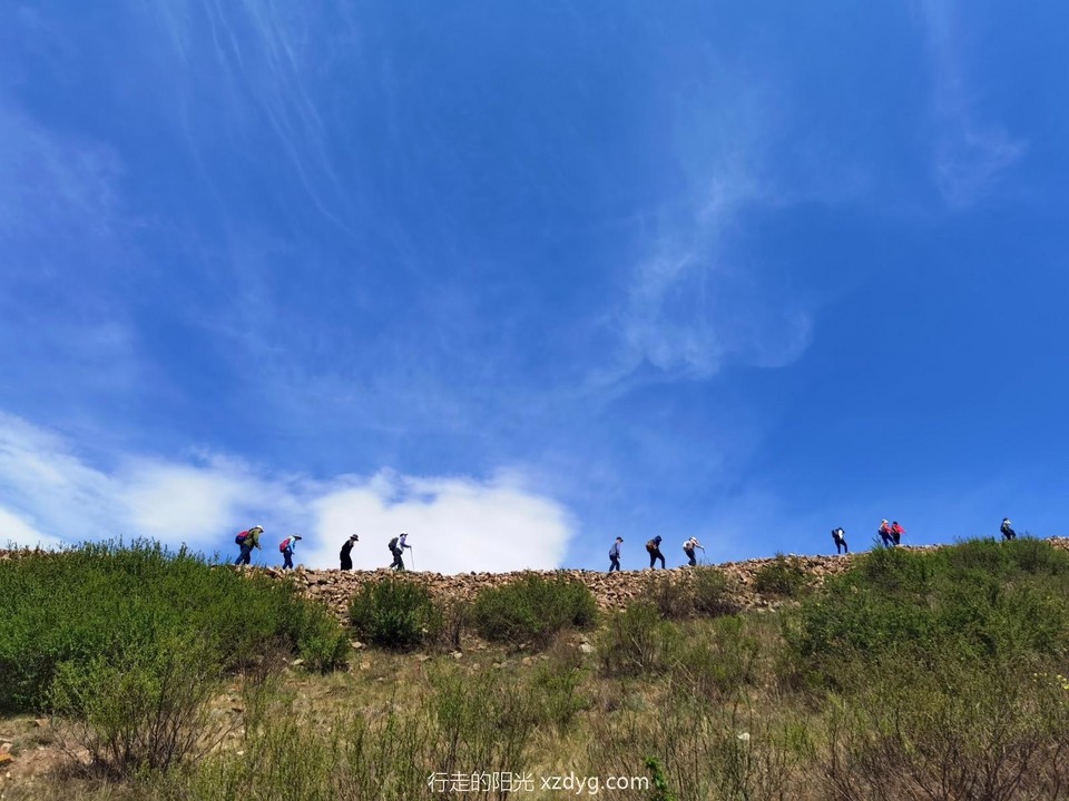 IMG_20230513_113426_edit_143399514488535