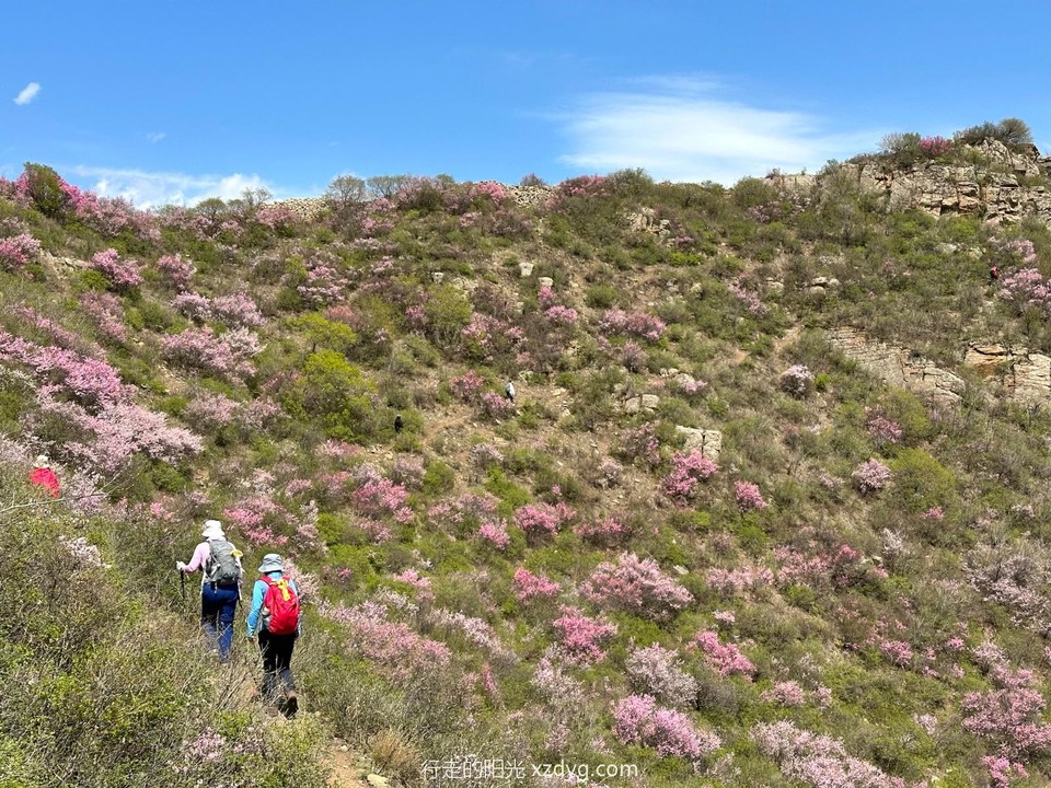 mmexport1684031977487_edit_136673089731228