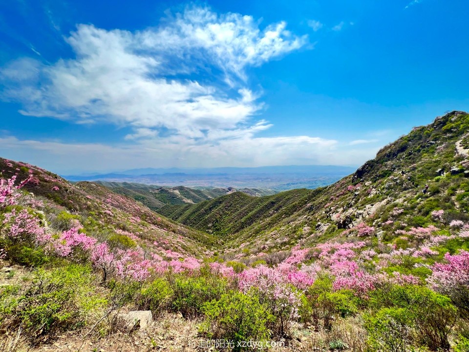 mmexport1684031750458