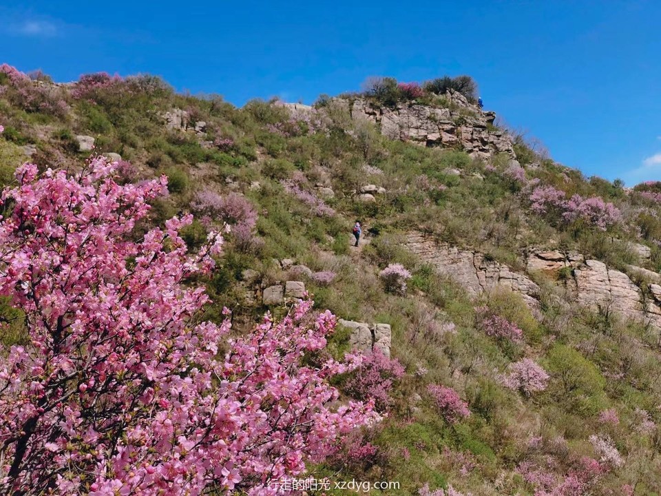 mmexport1684031538754