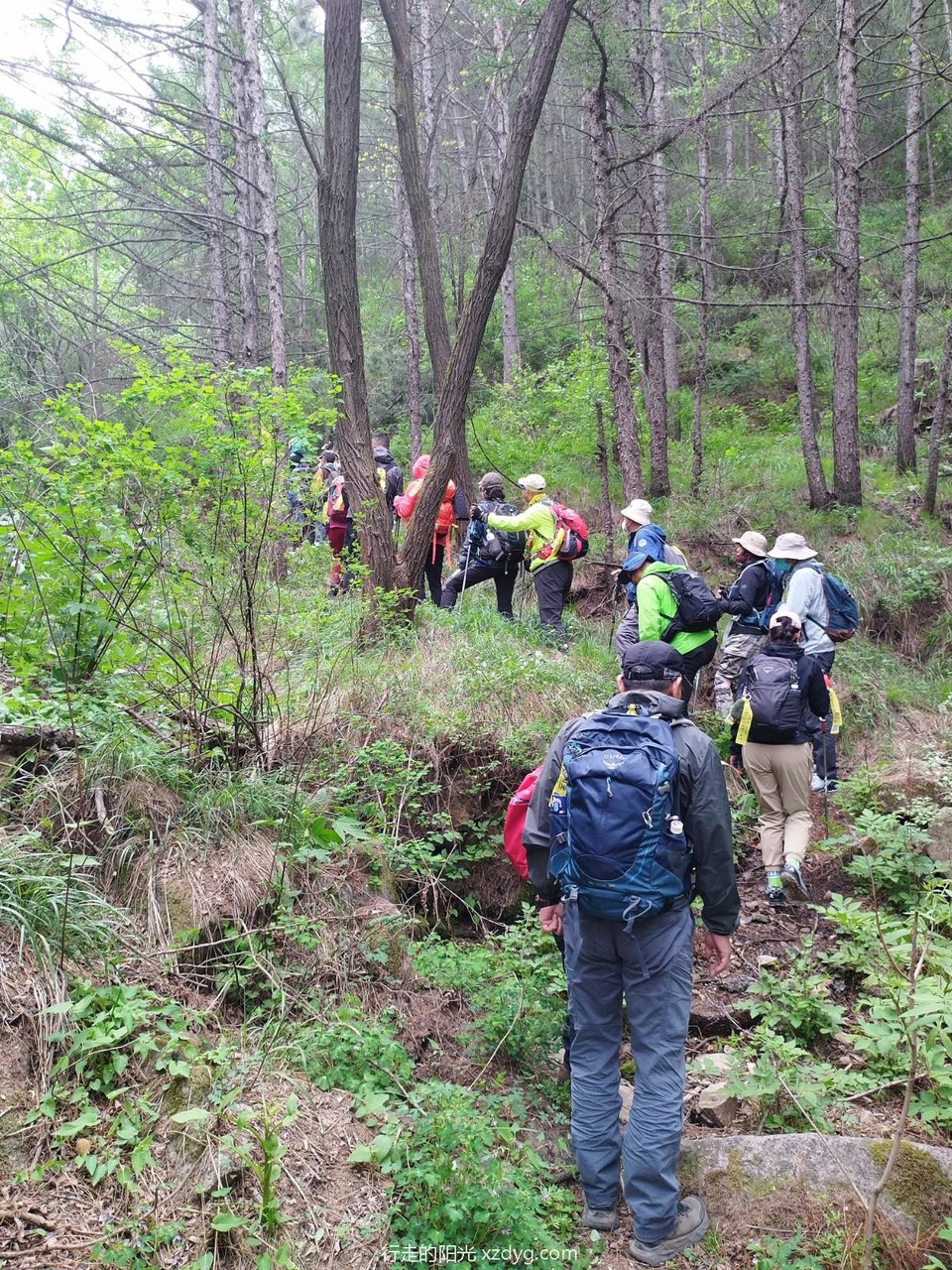 mmexport1684628531341_edit_149877385365671