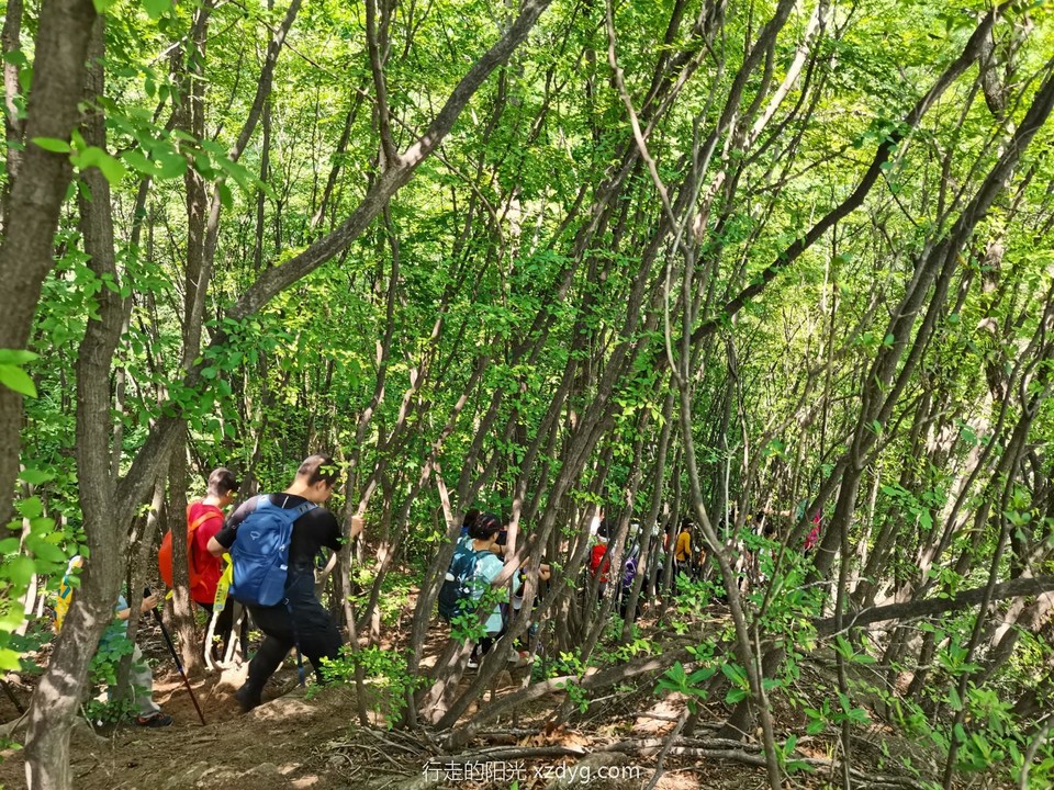 mmexport1685270188569_edit_521940761924524