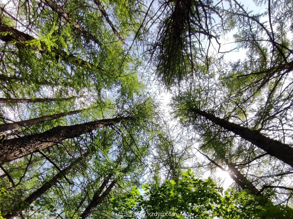 mmexport1685793204175_edit_226882408824233