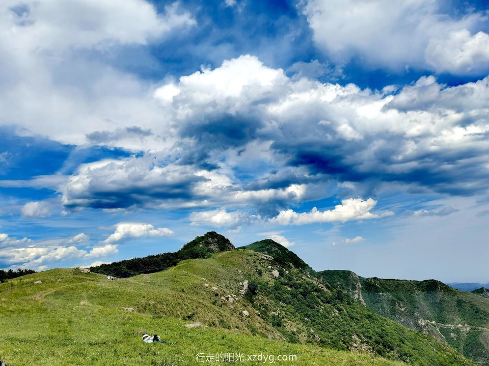 mmexport1685793219799_edit_226869411162777