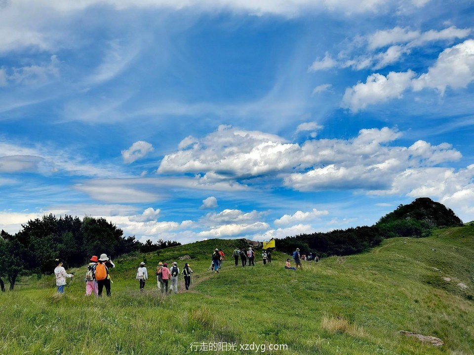 mmexport1685793873491_edit_226844026003406