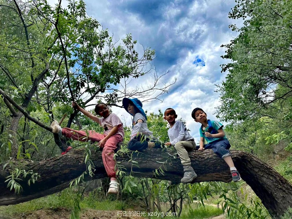 mmexport1686476412473_edit_83768656992425