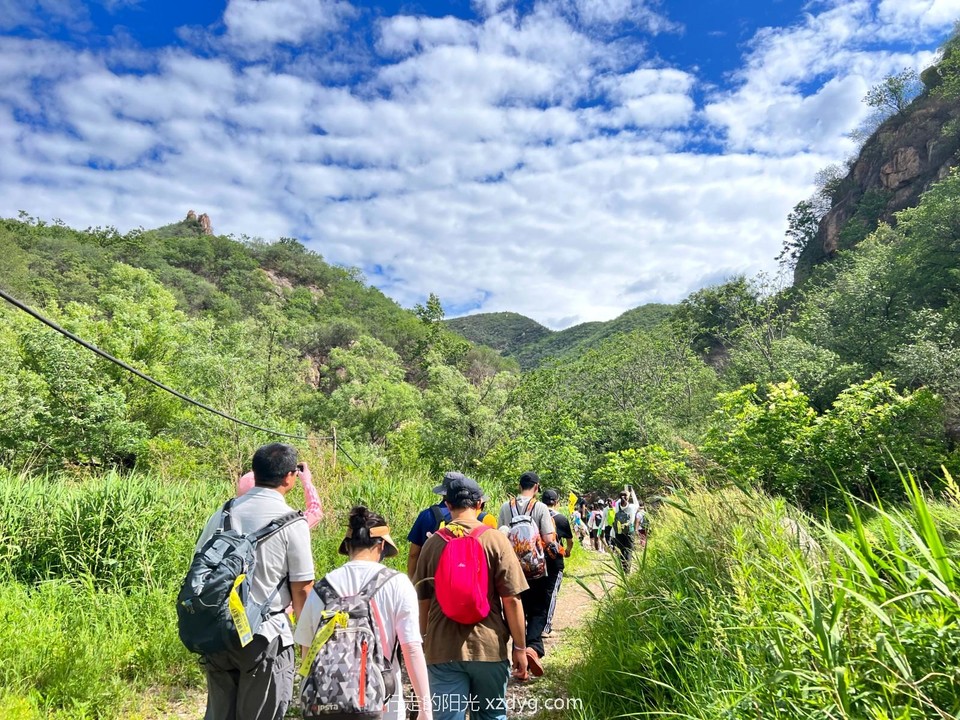 mmexport1686476390879_edit_83775638272633