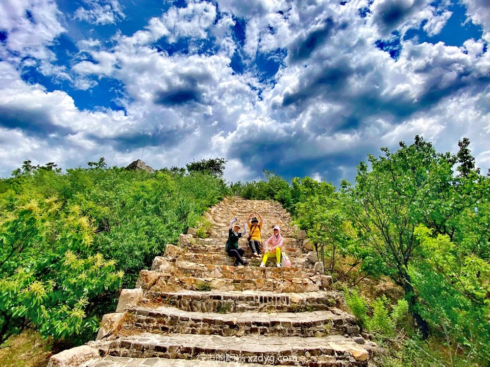 mmexport1686476277560_edit_83863082800223