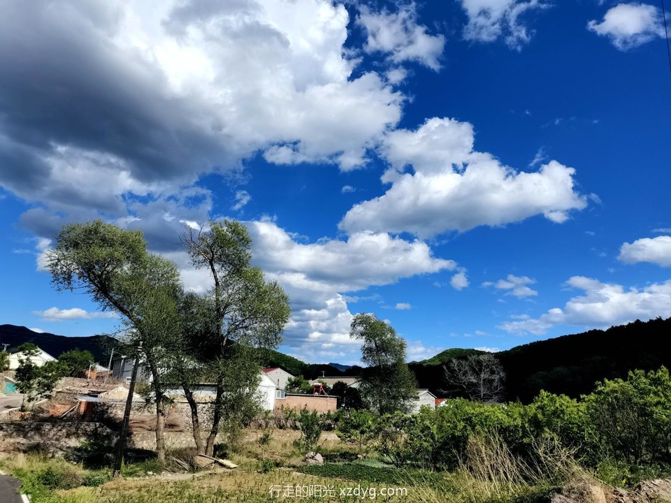 mmexport1686389964408_edit_37514104216150