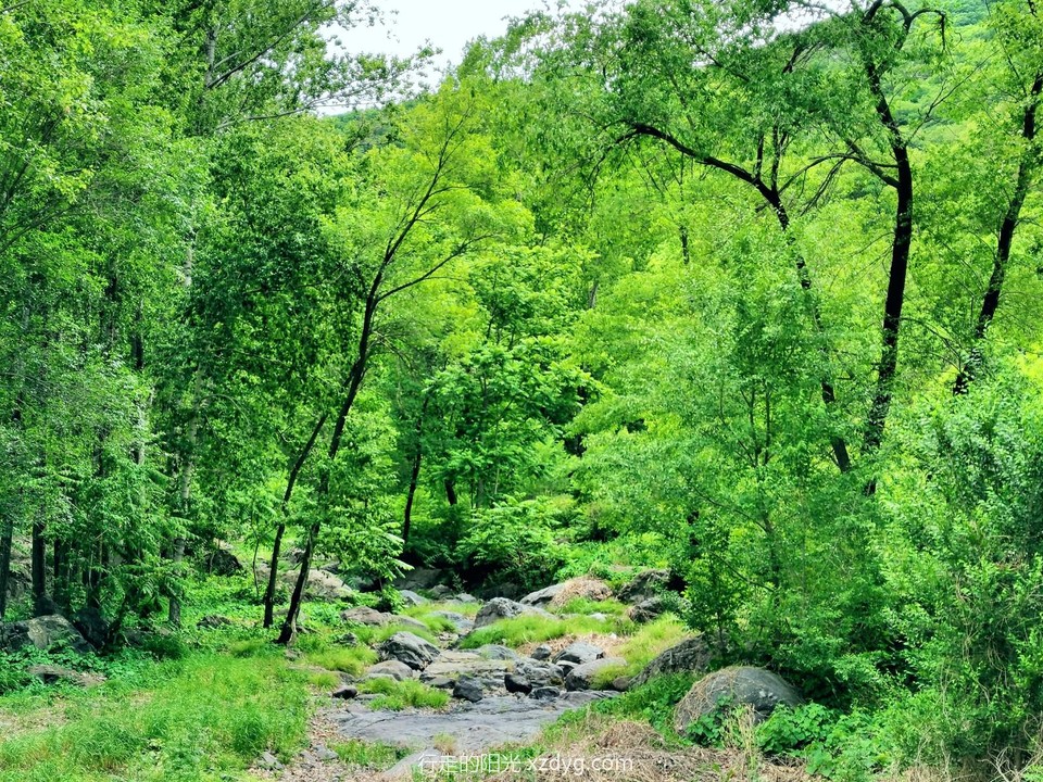 mmexport1686389971402_edit_37531828914585