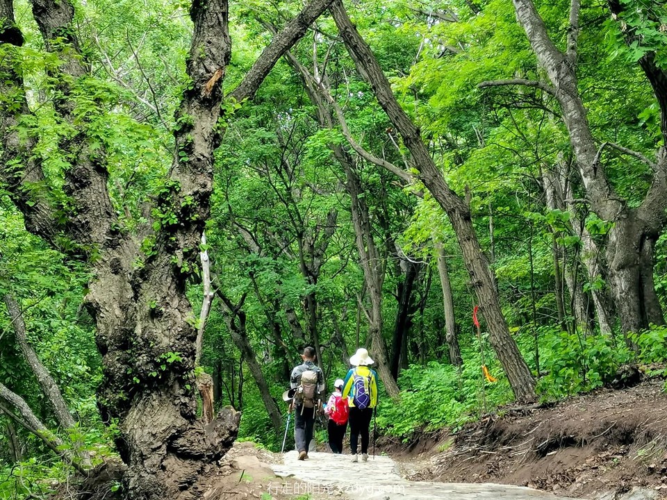 mmexport1686390005942_edit_37546017001562