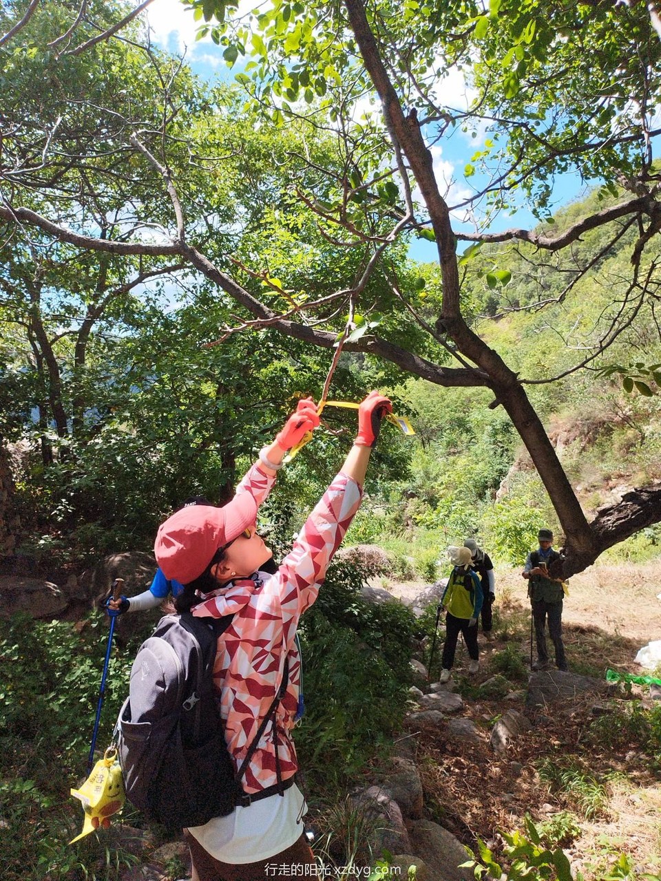 mmexport1686463376838_edit_73650062714803