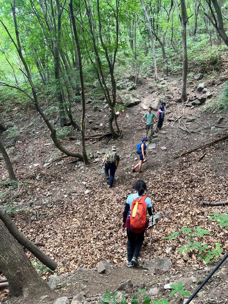 mmexport1686463252170_edit_73692884364275