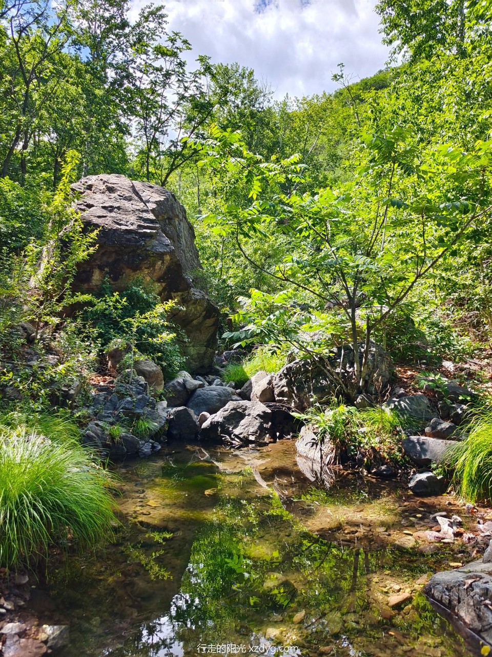 mmexport1686463166827_edit_73722595215833