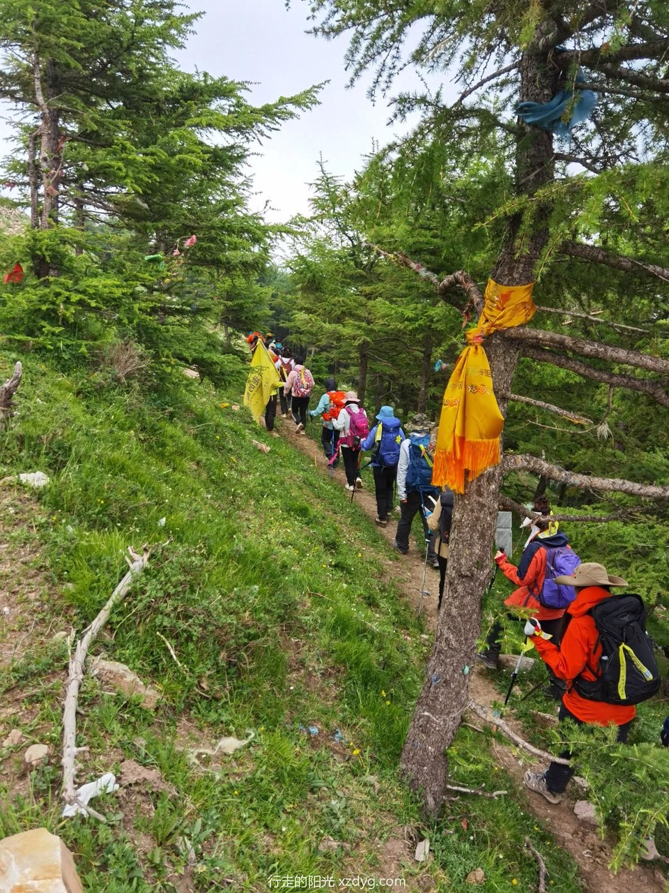 IMG_20230618_095804_edit_138753236848617