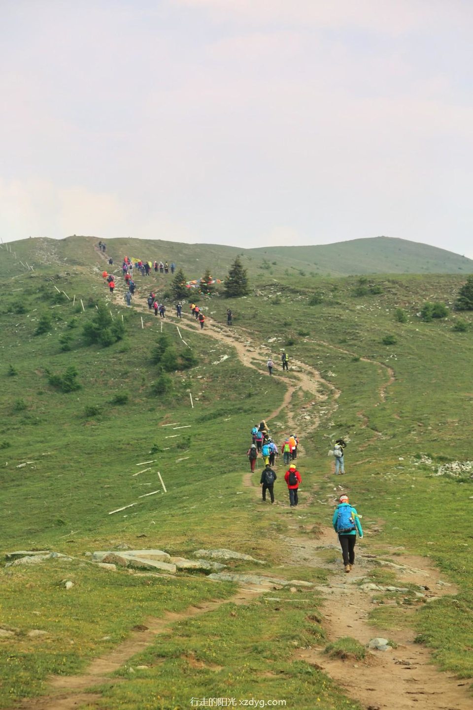 mmexport1687146032213_edit_132130122793378